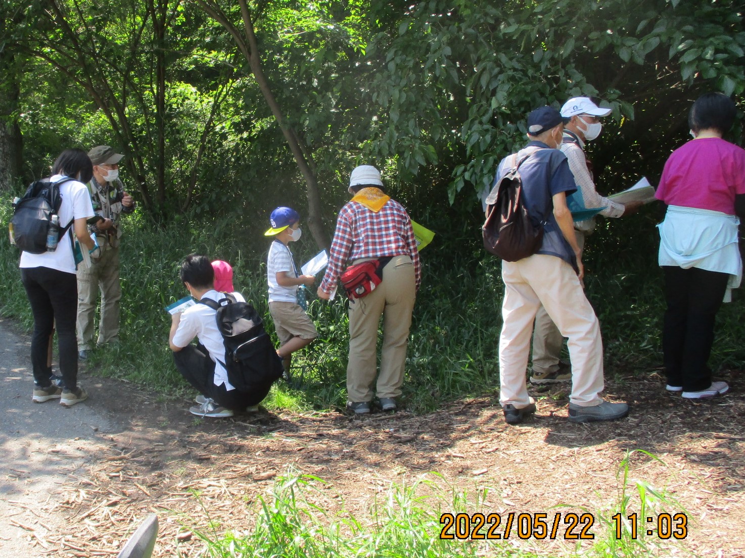 あいち森林インストラクター会