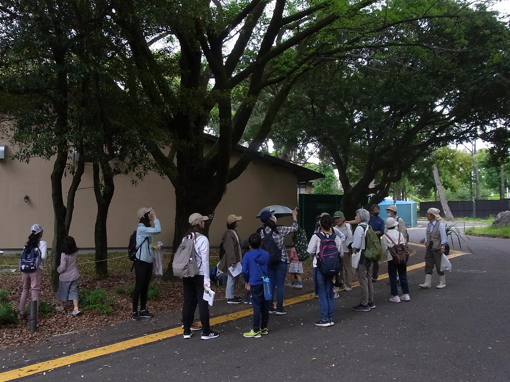 名古屋自然観察会