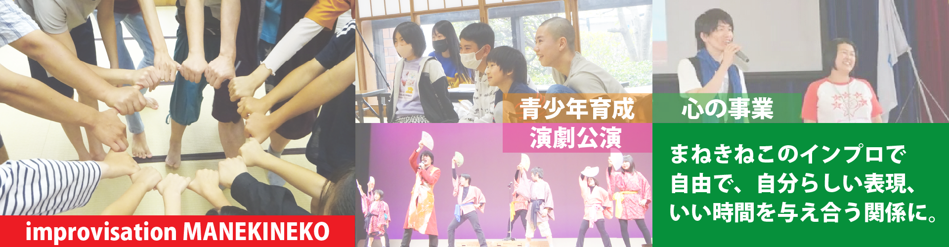 特定非営利活動法人まねきねこ
